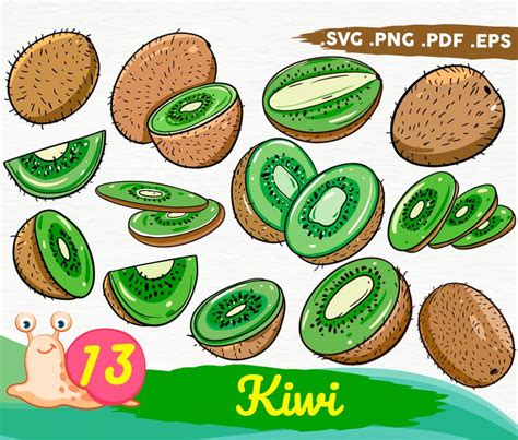 Kiwi Svgkiwi Clipartkiwi Slices Svgkiwi Clipart Fruit Svg Etsy