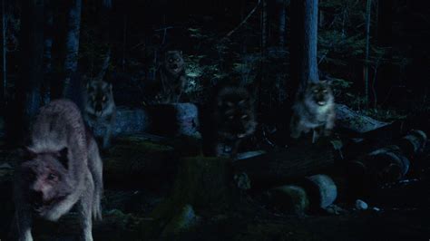 Werewolves Once Upon A Time Wiki Fandom Powered By Wikia