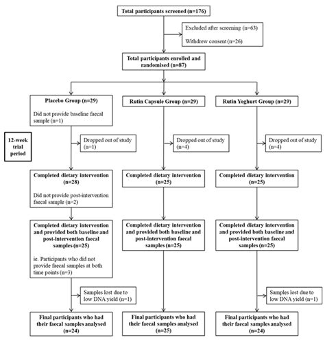 Consort Flow Chart For The Rutin Dietary Intervention Trial Download