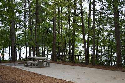 Shady Grove Campground | Campground Views