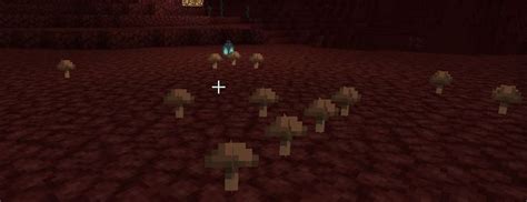 How To Grow Mushrooms Minecraft Materials Required Growing Conditions