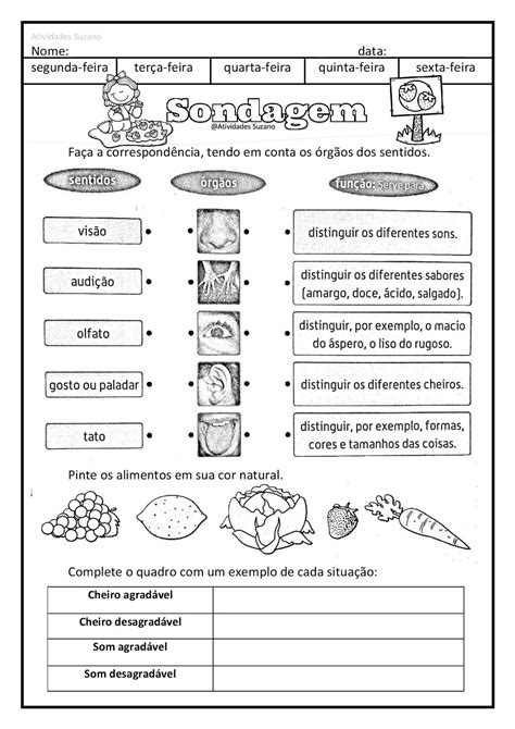 Atividades Pedagógicas Suzano Atividades Ciencias Atividades suzano