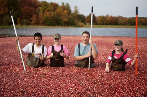 Cranberry Farmer A Working Mom In Massachusetts Michele Payn Cause