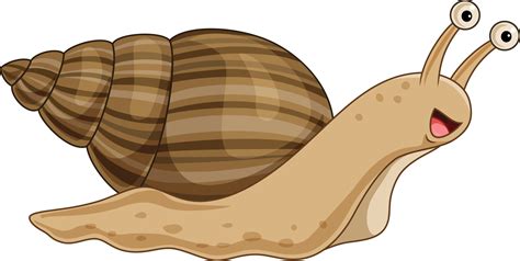 Cartoon Snail Isolated On White Background 15219746 Vector Art At Vecteezy