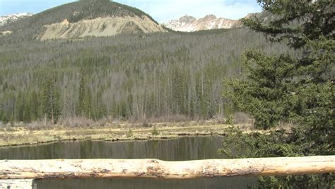 The Crow at Rocky Mountains National Park, Colorado image - Free stock ...