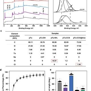 Surface Characterization Of Different Modified Scaffolds A Xps