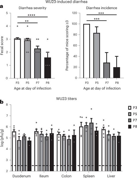 WU23 Diarrhea Is Tightly Age Restricted In B6 Mice Groups Of C57BL 6J