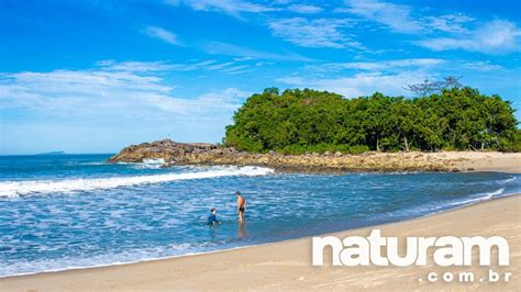 Camburi E Camburizinho Guia Definitivo Naturam