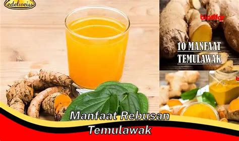 Temukan Manfaat Rebusan Temulawak Yang Jarang Diketahui Biotifor