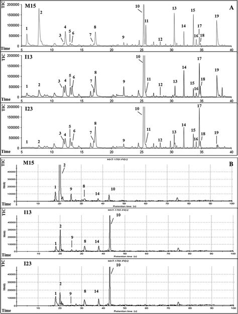 A Overlapping Of Volatile Gc Traces Obtained By Spme Gcms Analysis