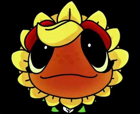 sunflowe plant zombie plants  zombies zombie art