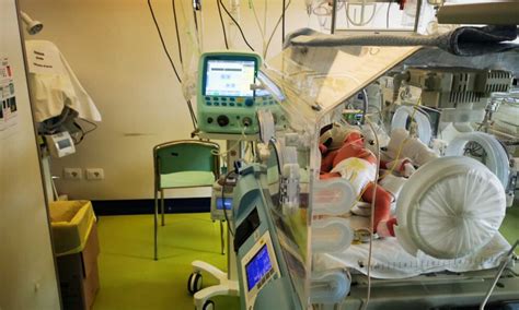 Sono Vivi Grazie Alla Terapia Neonatale Festa Al Goretti Per I Piccoli