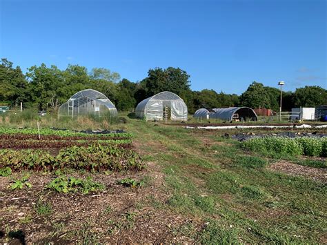Students and faculty enjoy free produce from Sustainability Farm