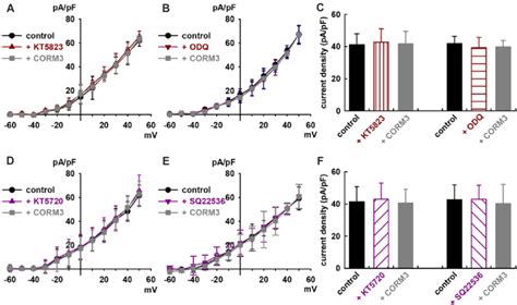 CGMP And CAMP Signaling Pathways Involved In Carbon Monoxide