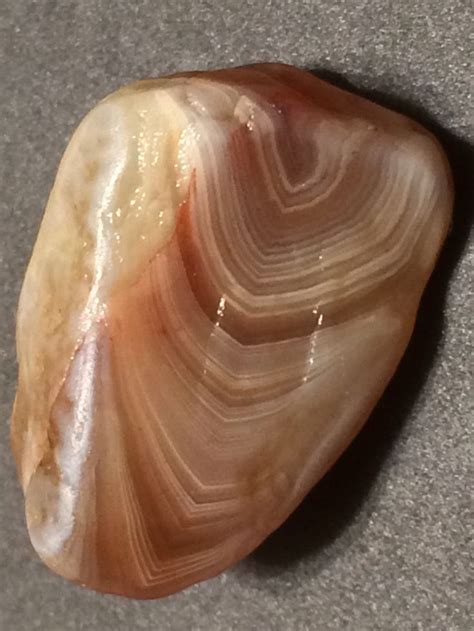 Lake Superior Floater Agate Photograph Whitefish Point Harbor