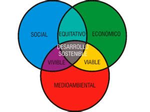 Cuáles son los 4 indicadores de sustentabilidad Descubre los 4