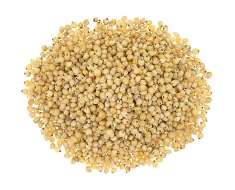 Sorghum Millet / Sorghum Flour / Sorghum red,Thailand price supplier ...