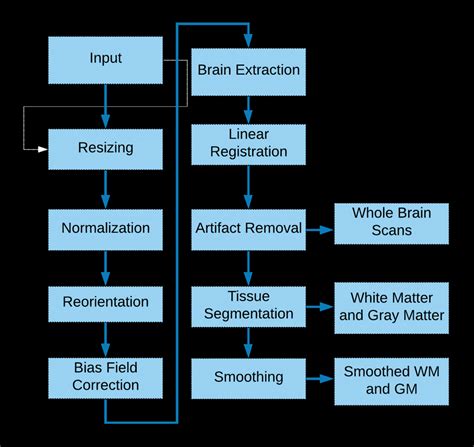 Preprocessing Pipeline Download Scientific Diagram