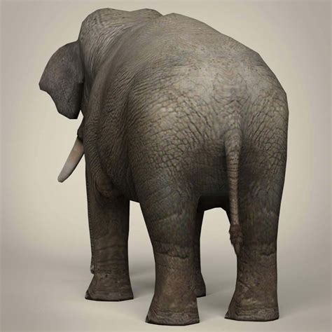 Elephant 3d Model By Treeworld3d