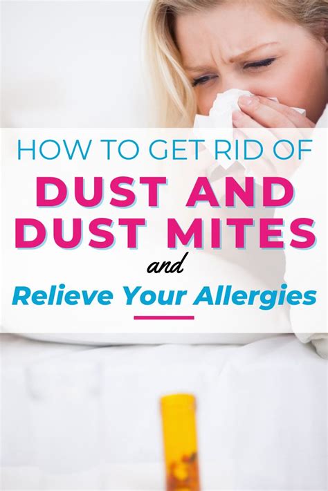 What Kills Dust Mites Naturally? (3 Easy DIY Options) | Dust mites ...