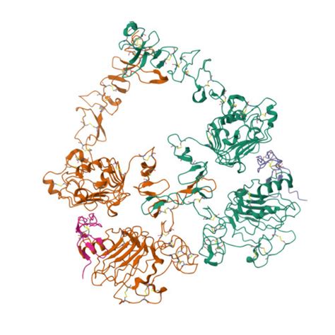 Rcsb Pdb Sz Cryo Em Structure Of The Extracellular Module Of The