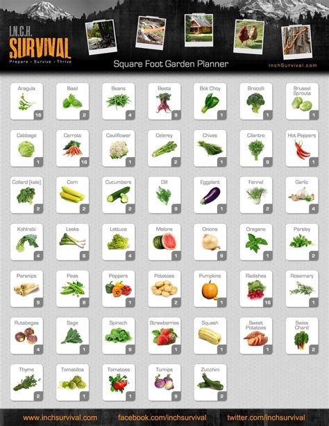 Square Foot Garden Planting Guide Chart