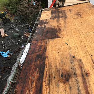 Does Plywood Rot Easily The Habit Of Woodworking