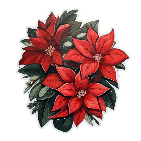 Poinsettias Flower Transparent Png Transparent Image And Clipart For