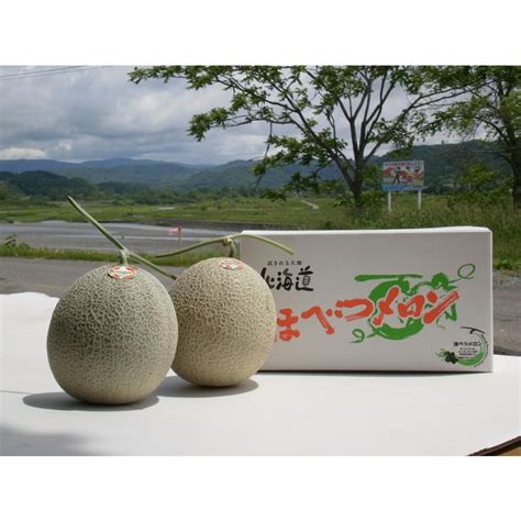 穂別メロン 優品 8kg 食べチョク 北海道穂別町産 宅配便送料無料 契約栽培 農場直送 ほべつメロン めろん 数量限定 期間限定 生鮮品 ...