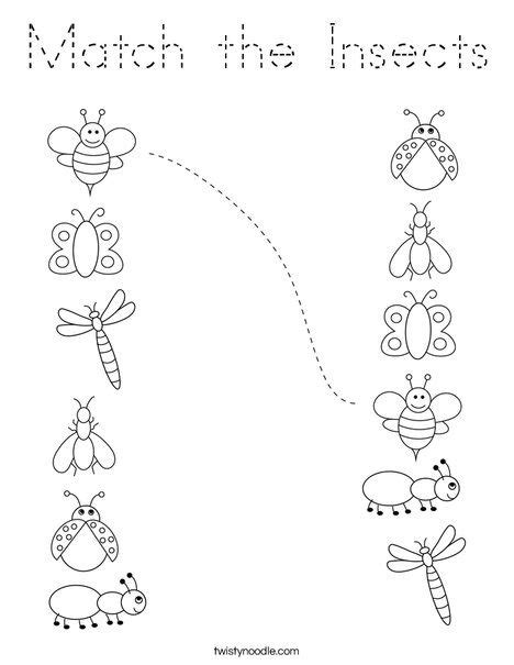 Match The Insects Coloring Page Tracing Insect Coloring Pages Bugs