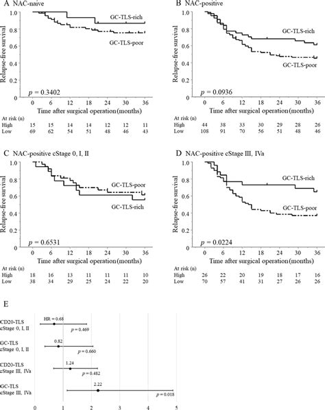 Kaplanmeier Survival Curves Of The Relapse Free Survival For Gc Tls