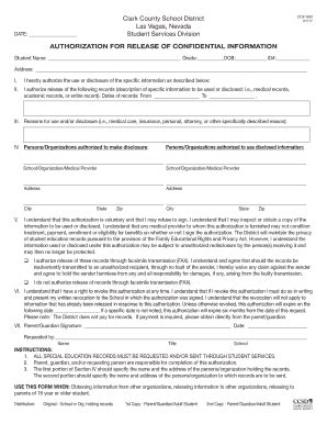 Nv Ccsd Ccf Fill And Sign Printable Template Online