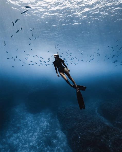 Padi On Twitter Is The Year You Try Freediving Type Padi