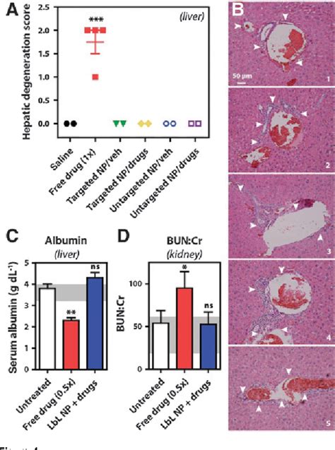 Figure From Tumor Targeted Synergistic Blockade Of Mapk And Pi K From