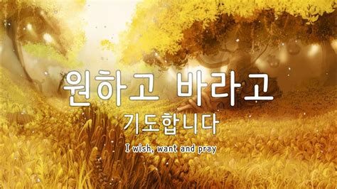 원하고 바라고 기도합니다 마음을 편안하게 해주는 찬양 모음 Best Ccm Praise And Worship Songs