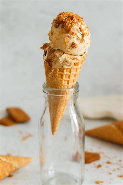 Biscoff Ice Cream Recipe No Churn My Morning Mocha