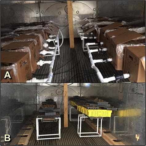 New heat method kills pathogens with minimal damage to plants | Science ...