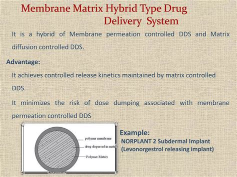 Ndds 6 Implantable Drug Delivery System Ppt