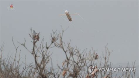 북한 전략순항미사일 핵탄두 모의 공중폭발시험 진행 네이트 뉴스