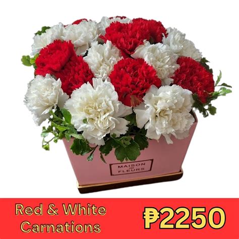 Carnations Modern Petals Cebu