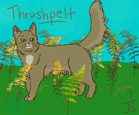 Thrushpelt - A True Warrior by Junipershine on DeviantArt