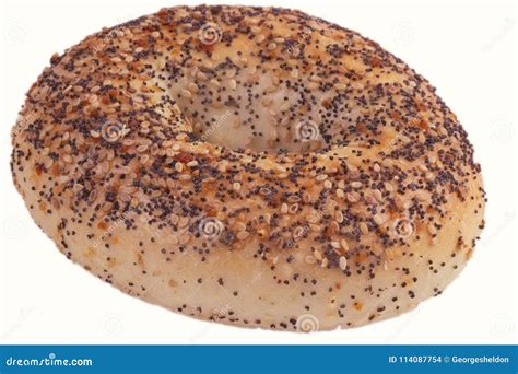 Everything Bagel Isolated On White Background Stock Photo Image Of