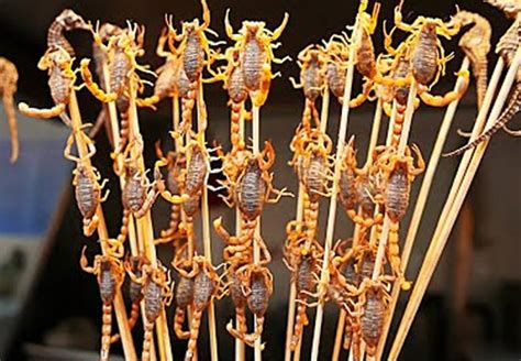 In China Scorpions Are A Tasty Delicacy Punch Newspapers