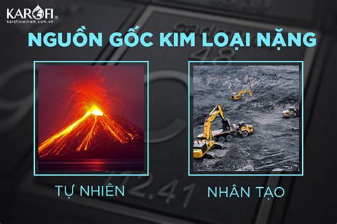 Kim loại nặng là gì? Tác hại và cách loại bỏ kim loại nặng trong nước - LADEC