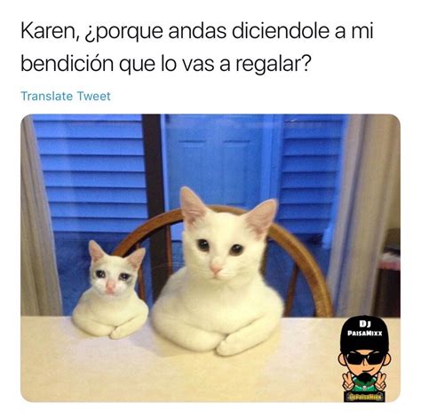 Pin De Maria Vargas En Gato Memes Divertidos Meme Gracioso Humor