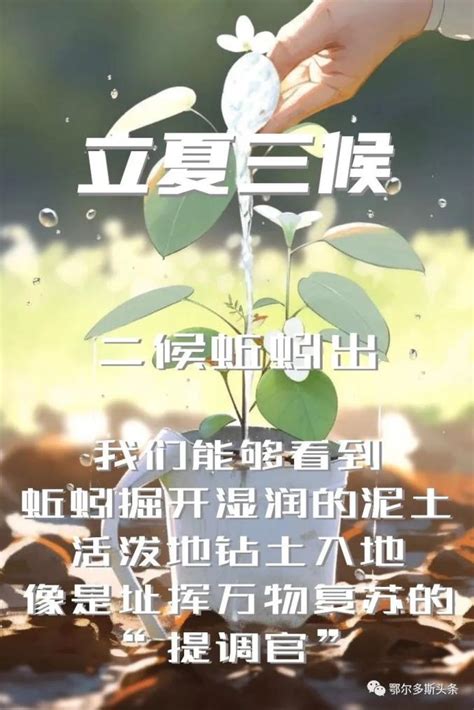 百嘎丽科普开讲丨今日立夏！夏天的第一个节气到了，快把这些讲给孩子吧～澎湃号·政务澎湃新闻 The Paper