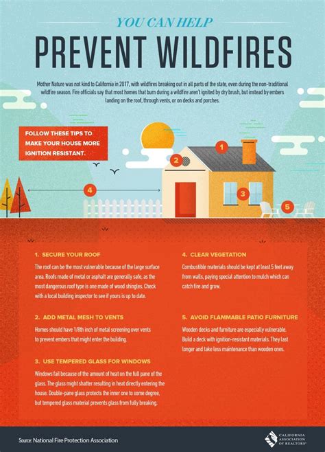 Preventing Wildfires Infographic