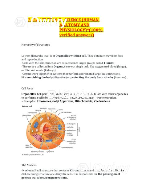 ATI TEAS 7 2022 Science Human Anatomy And Physiology 100 Verified