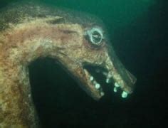 "Ogopogo" Statue underwater in Okanagan Lake BC. : r/submechanophobia