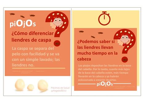 Preguntas Frecuentes Sobre Piojos Pocimas De Salud